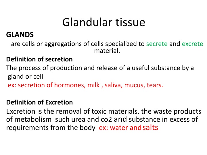 glandular tissue