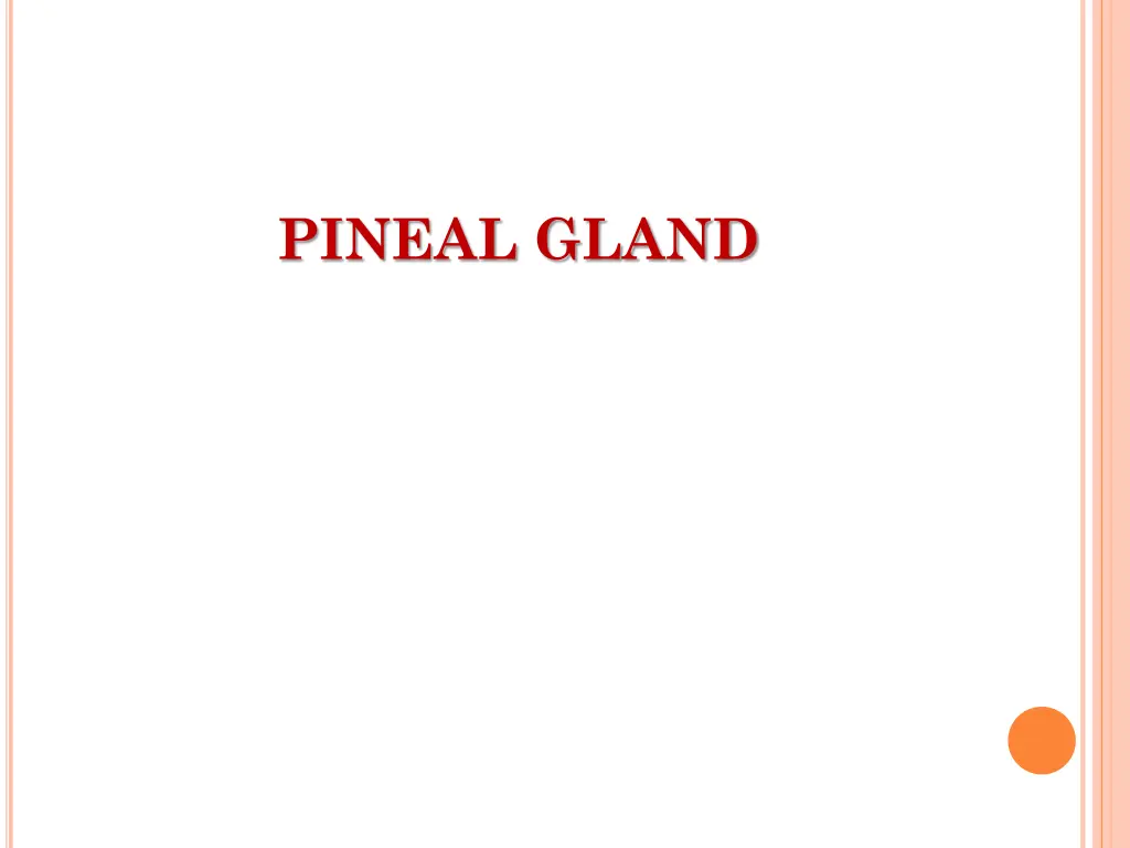 pineal gland