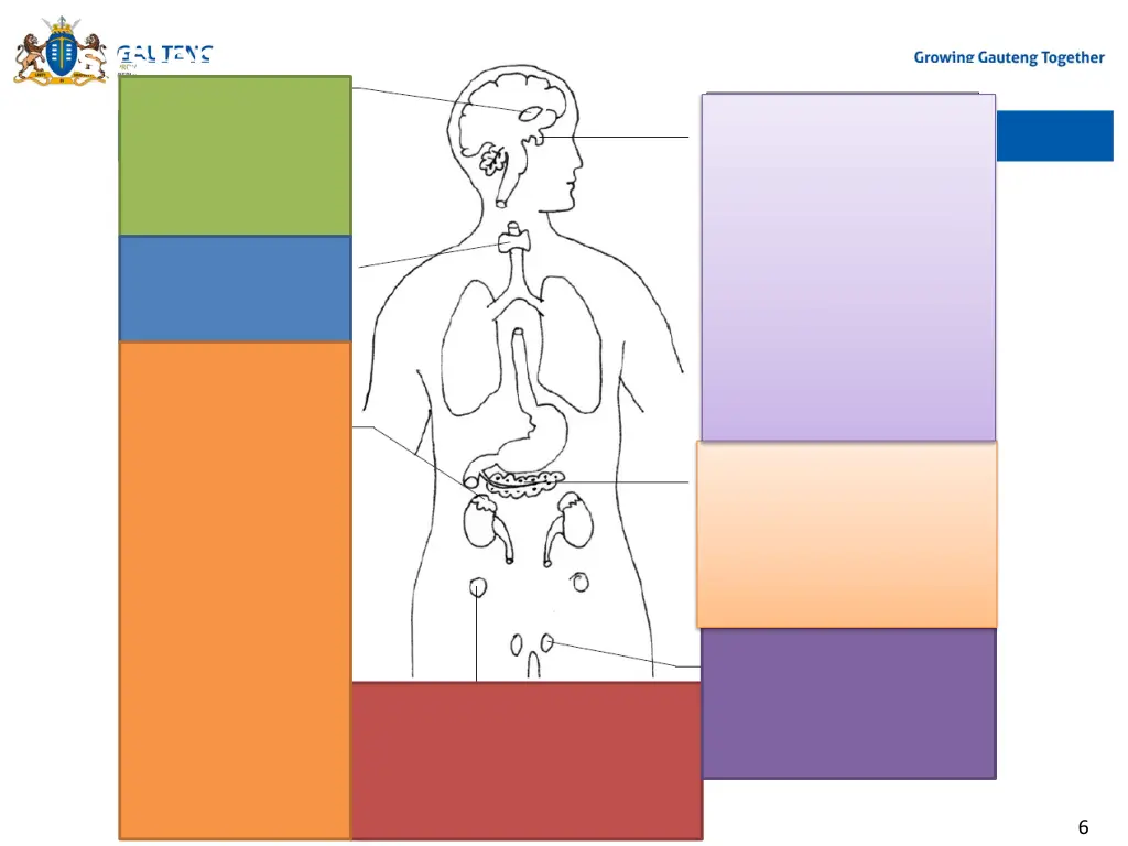 a snapshot of the human endocrine system