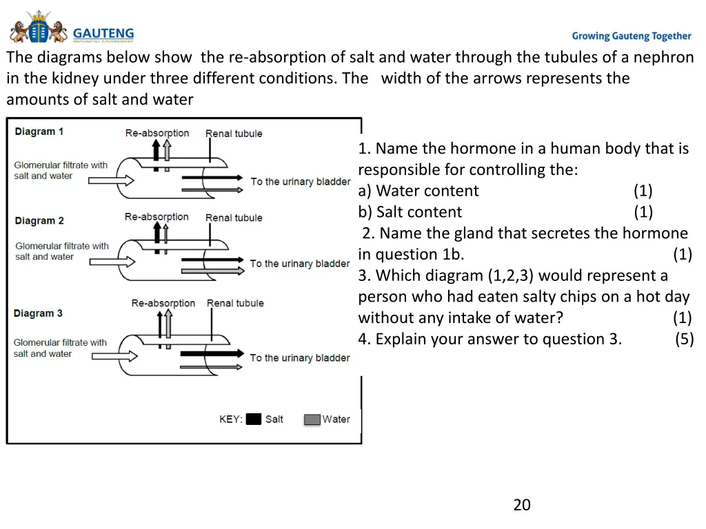 activity 1 1