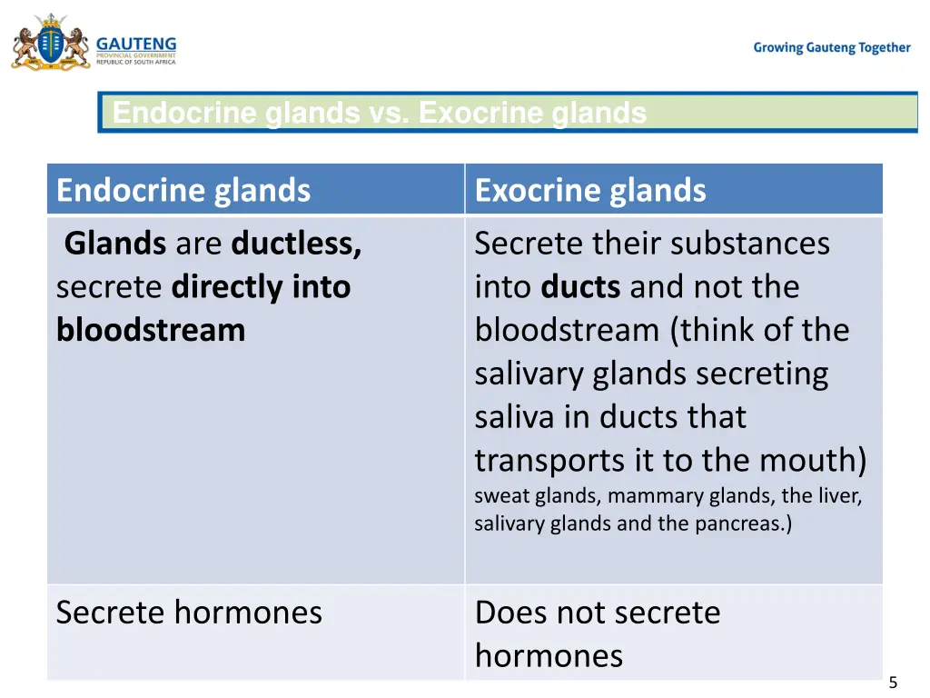 endocrine glands vs exocrine glands