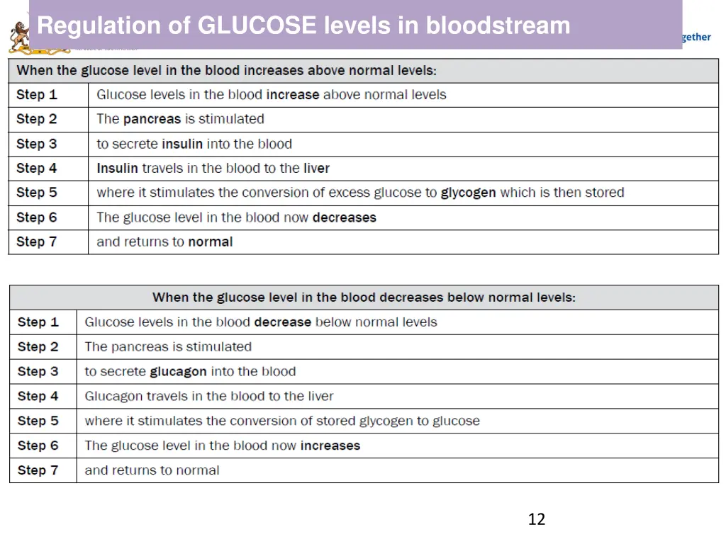 regulation of glucose levels in bloodstream