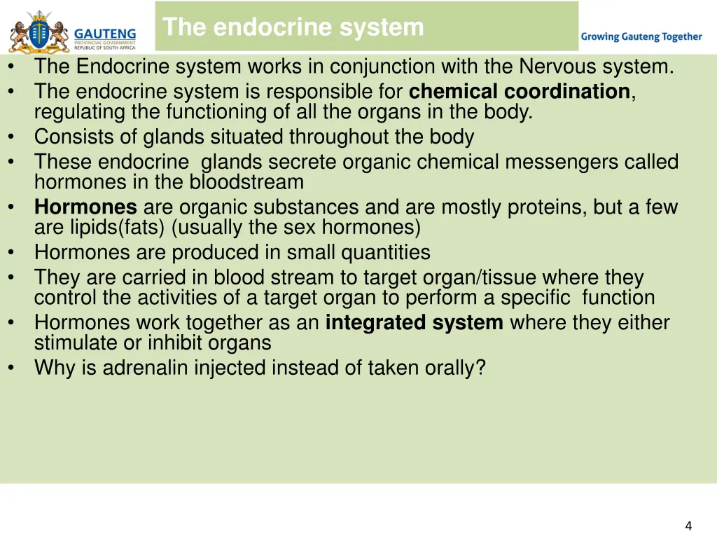 the endocrine system