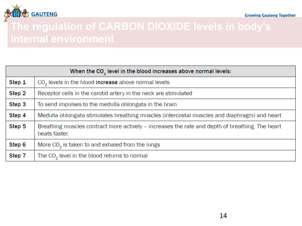 the regulation of carbon dioxide levels in body