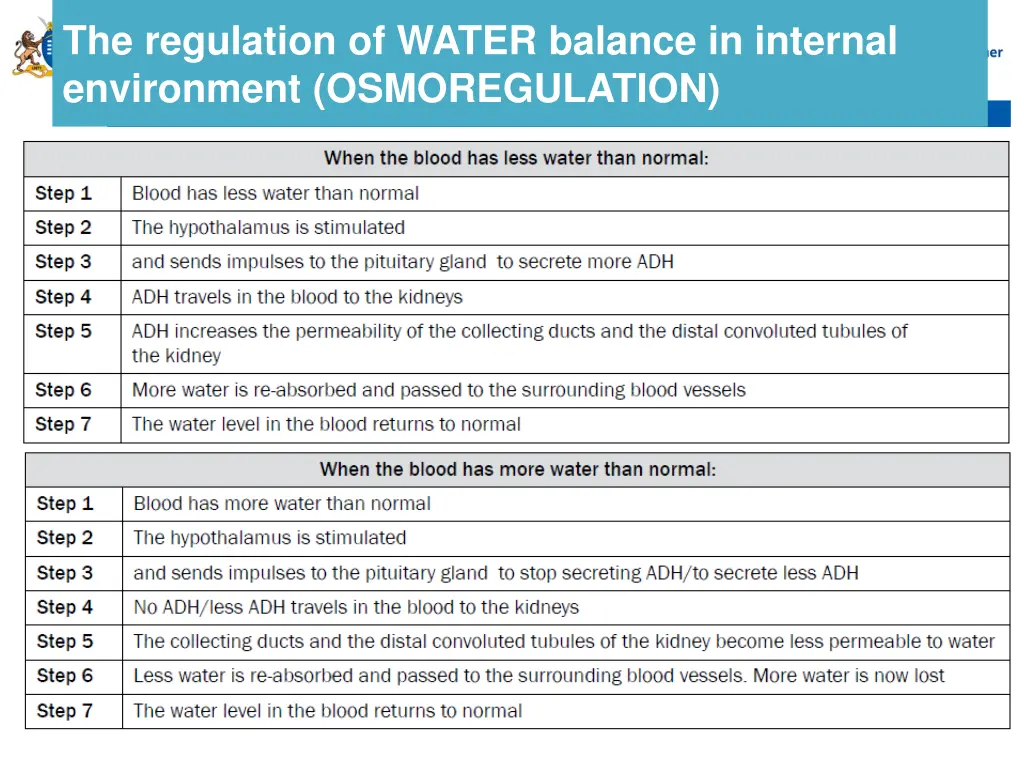 the regulation of water balance in internal