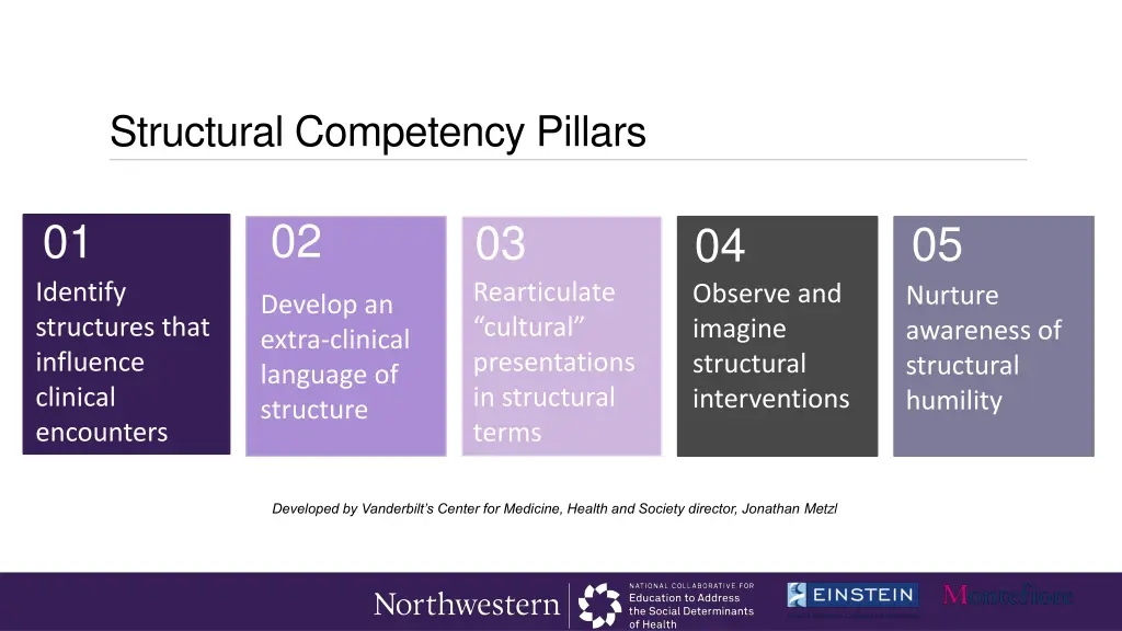 structural competency pillars