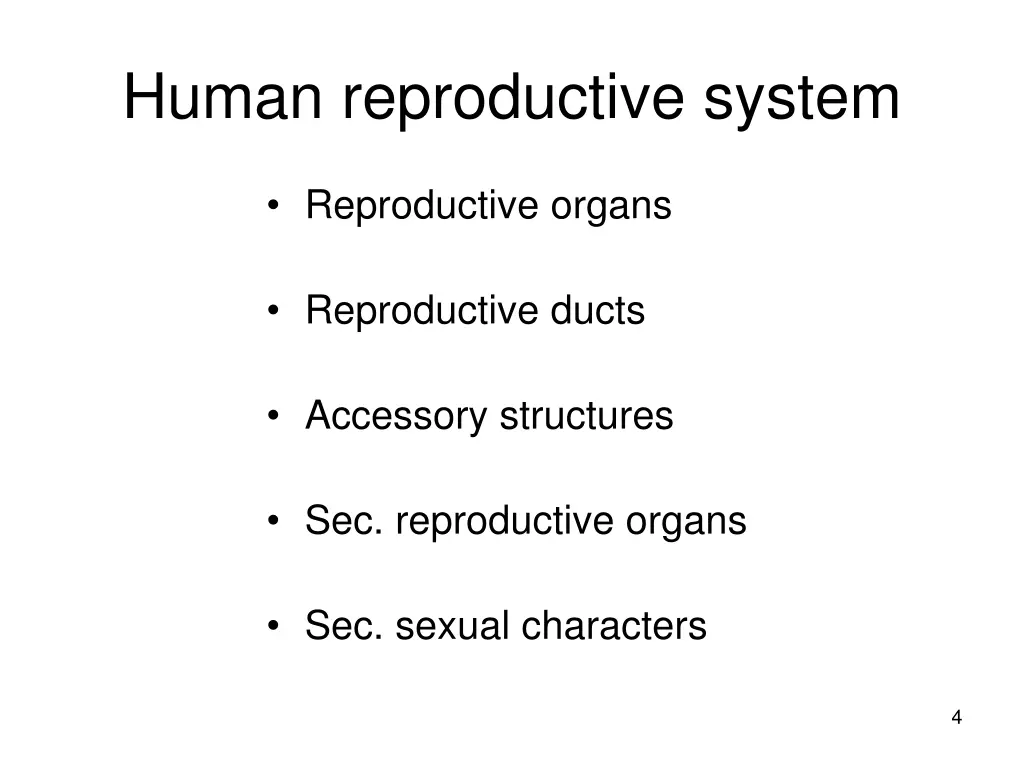 human reproductive system 1