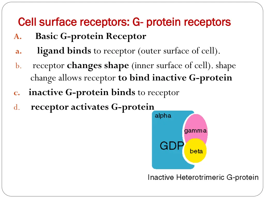 cell surface receptors g cell surface receptors