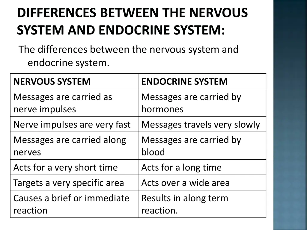 differences between the nervous system 2
