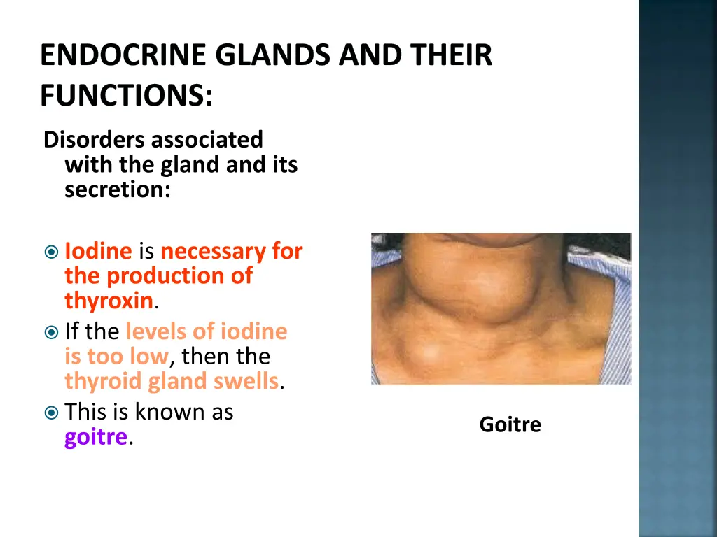 endocrine glands and their functions 18