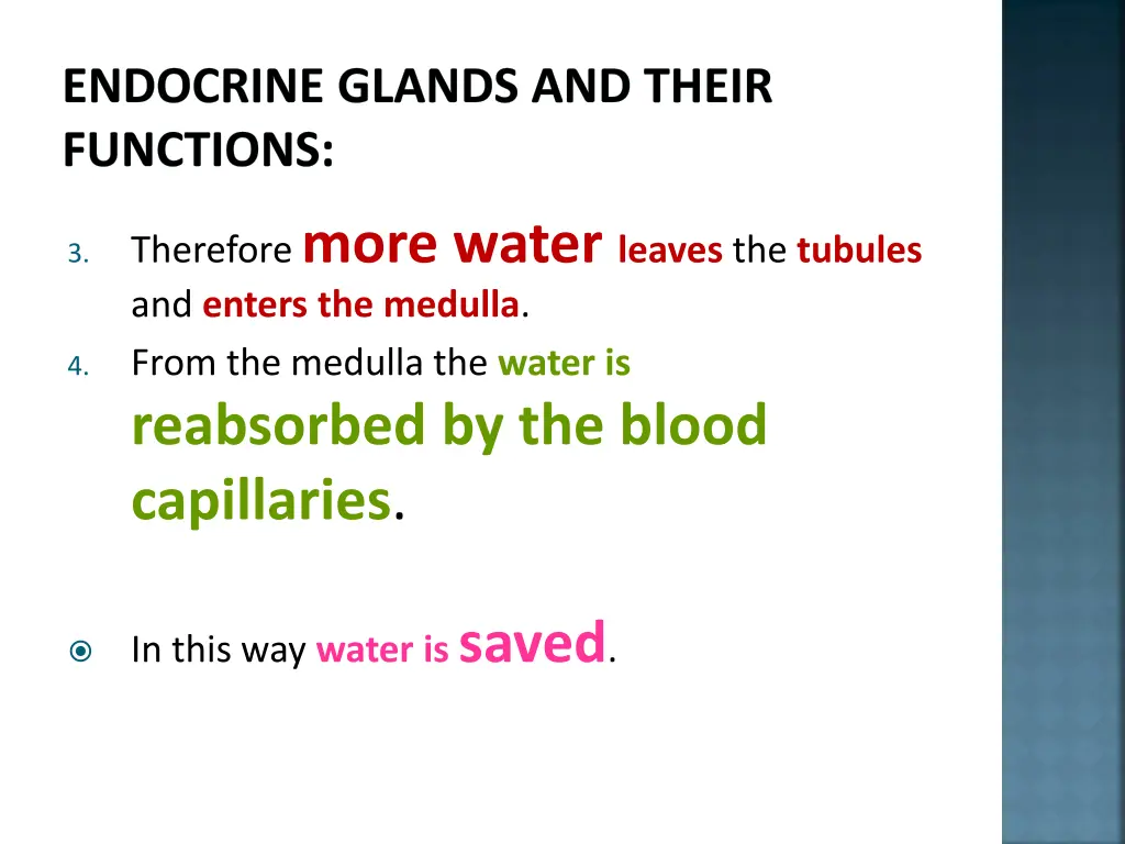 endocrine glands and their functions 3
