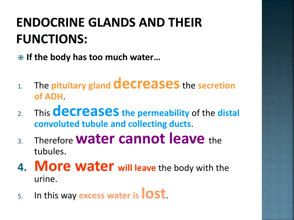 endocrine glands and their functions 4
