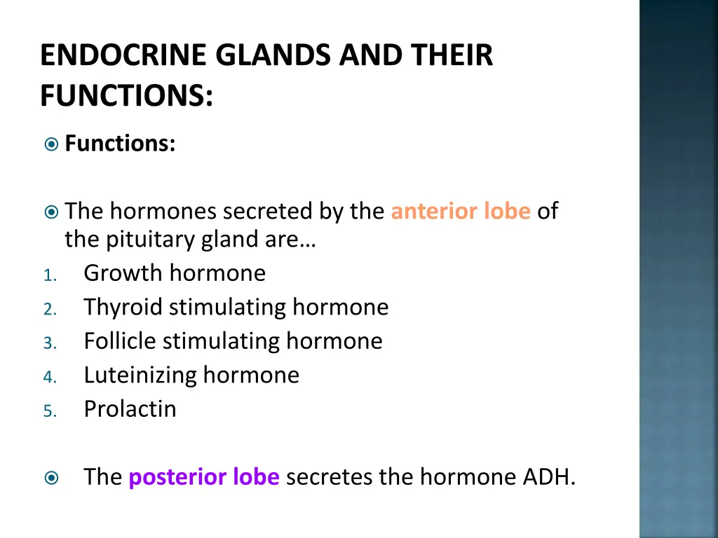 endocrine glands and their functions 7