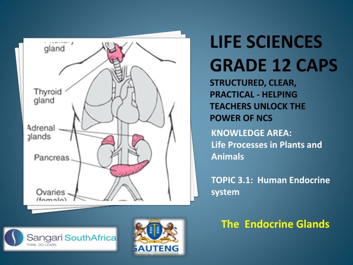 life sciences grade 12 caps structured clear