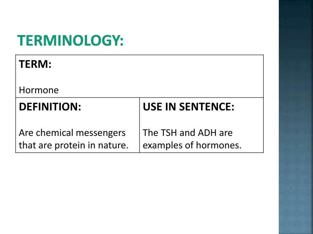 terminology 2