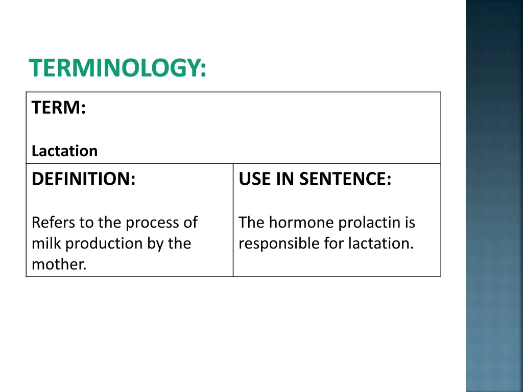 terminology 8