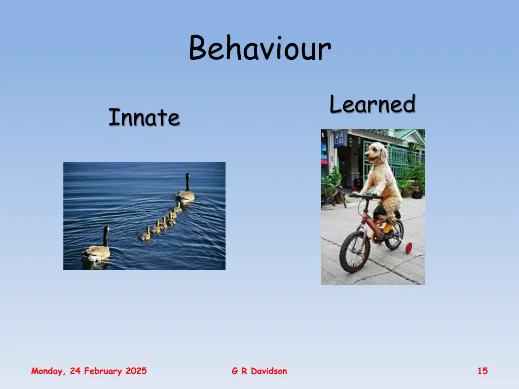 behaviour