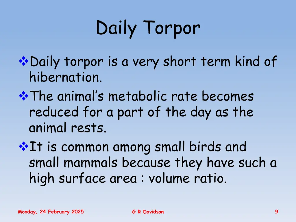 daily torpor