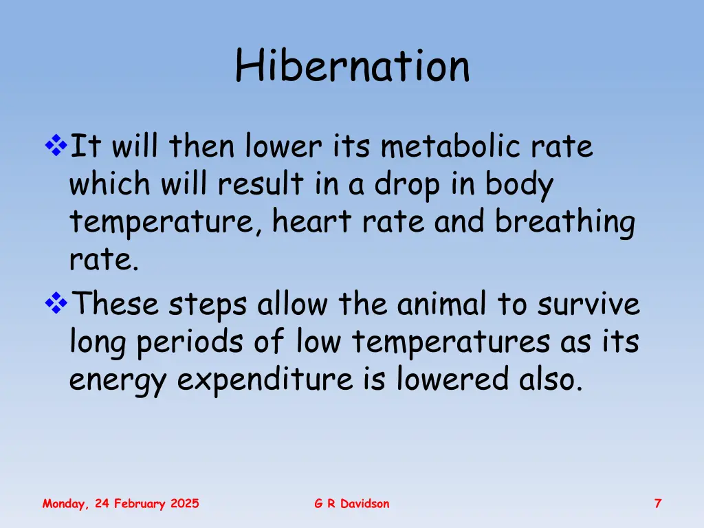 hibernation 1