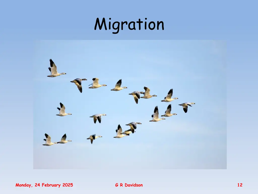 migration