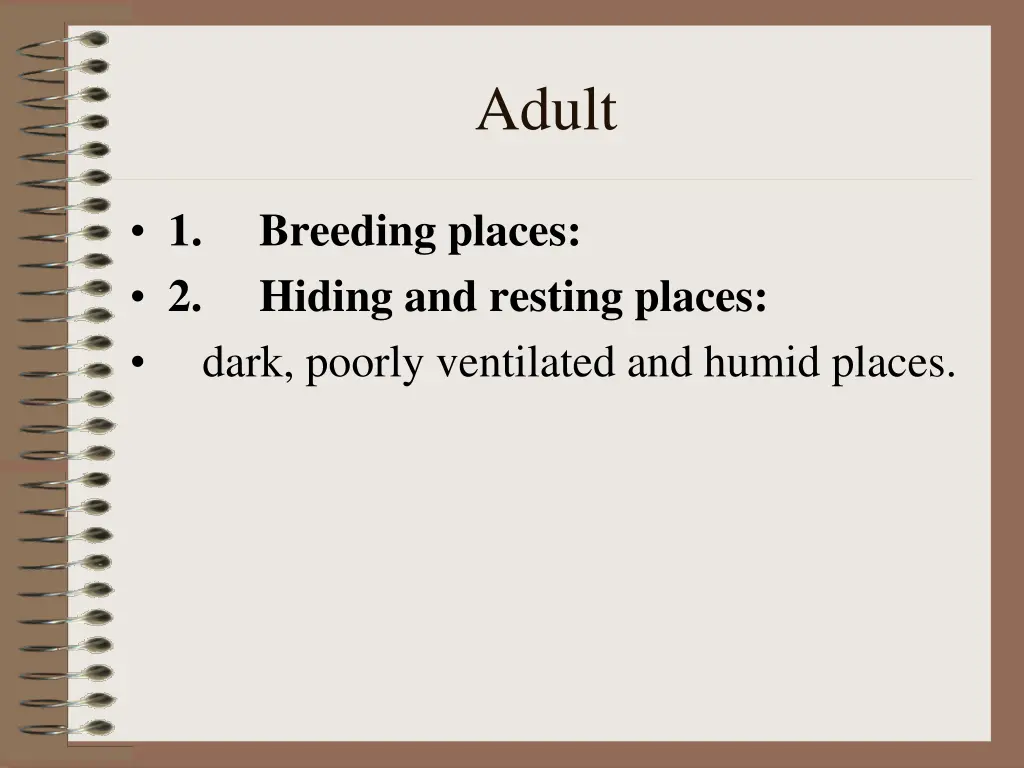 adult
