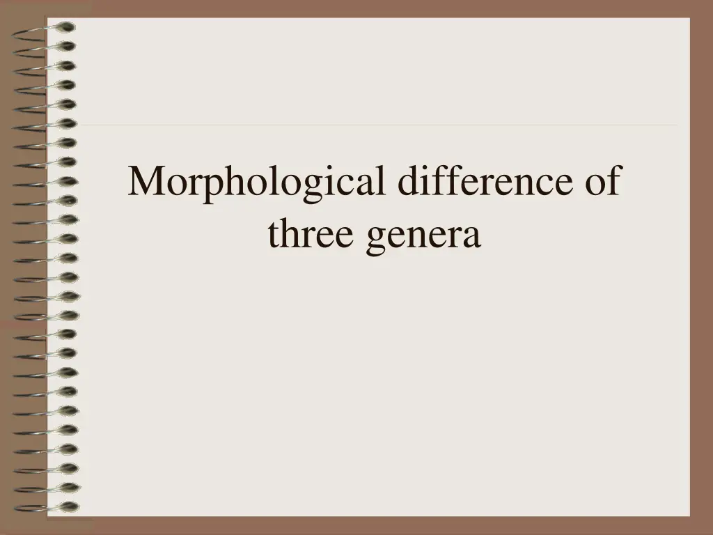 morphological difference of three genera