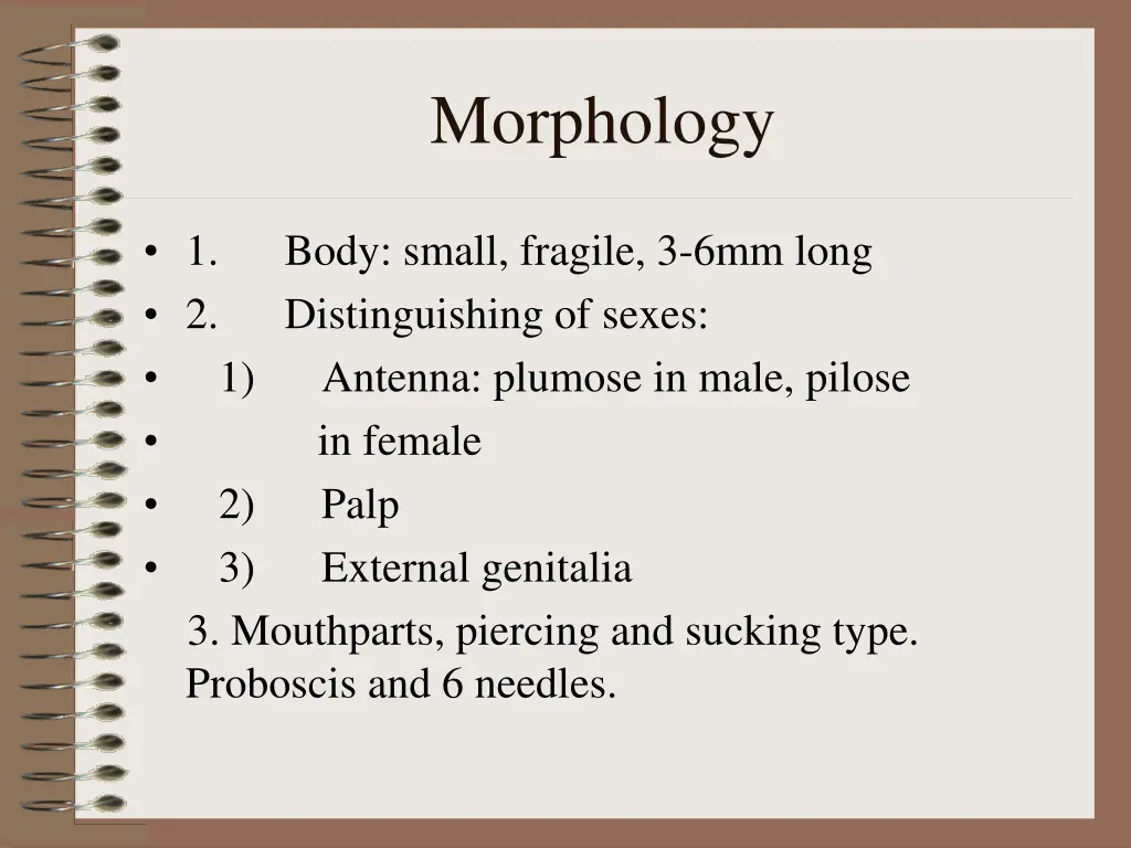 morphology