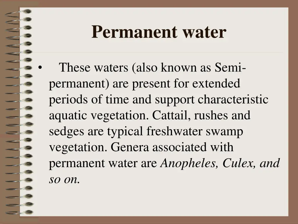 permanent water