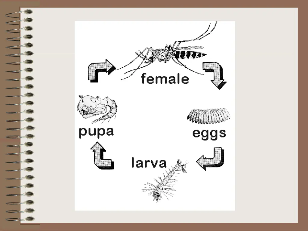 slide15
