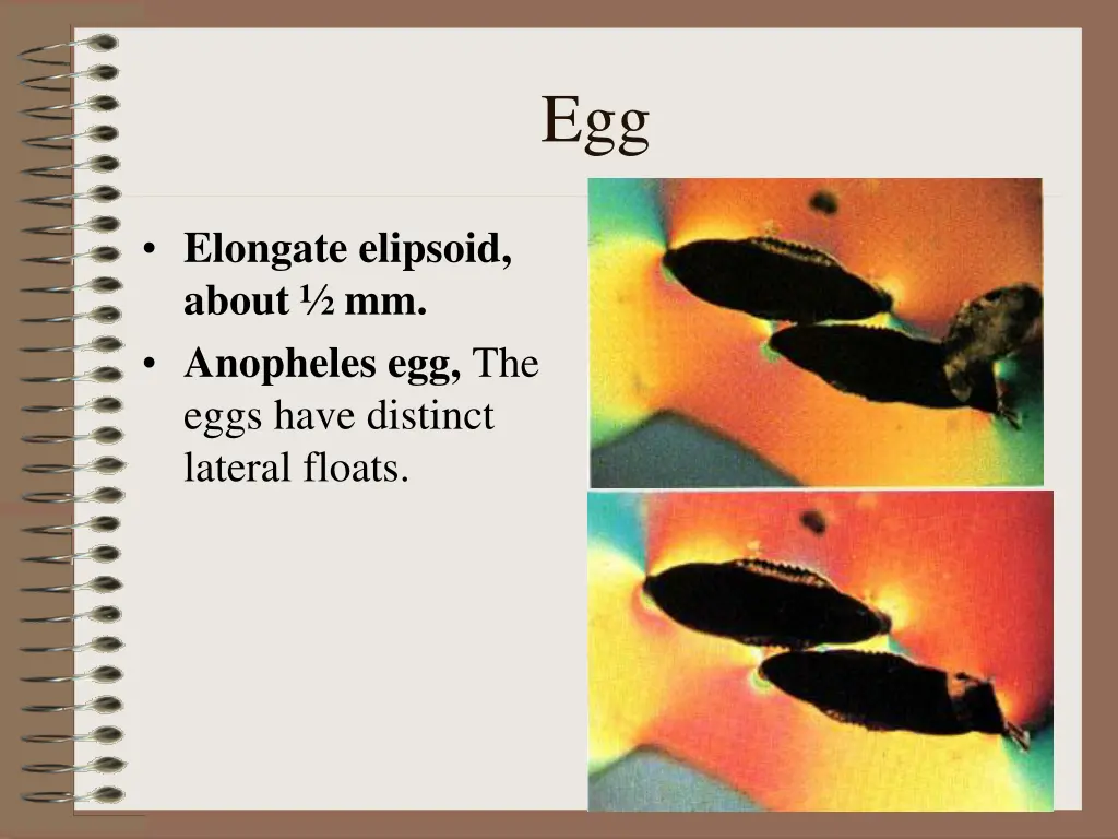 slide5