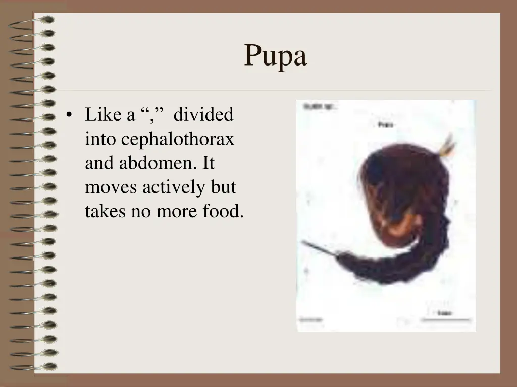 slide9