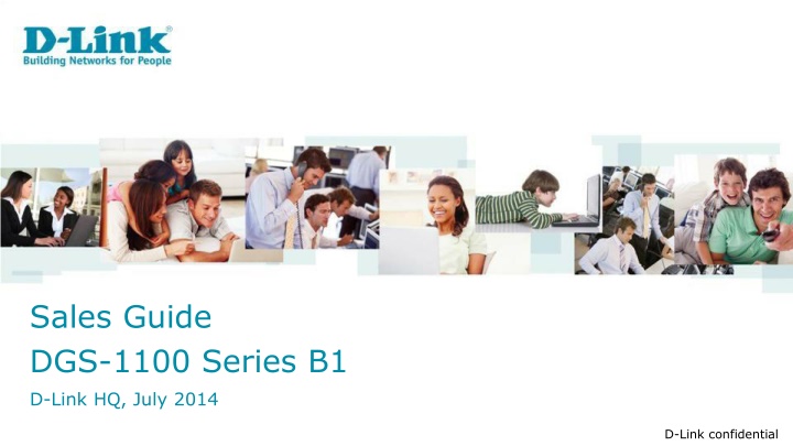 sales guide dgs 1100 series b1