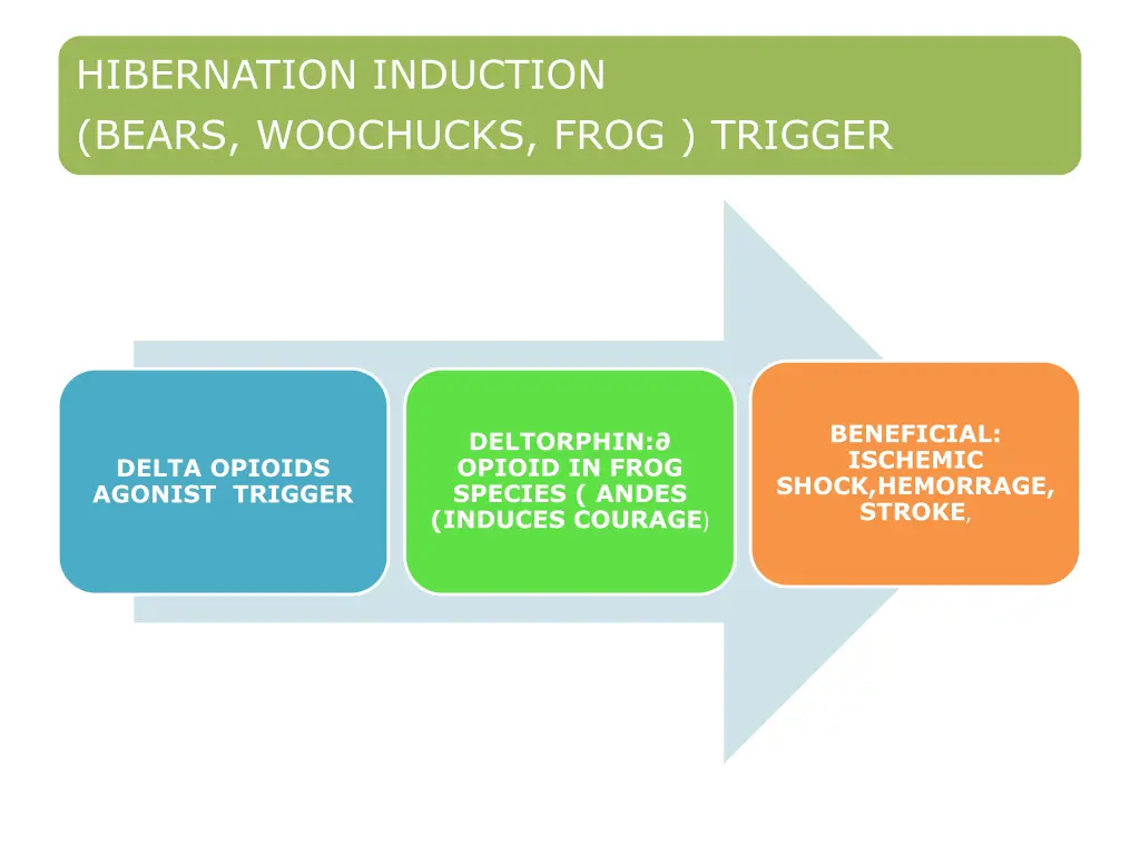 hibernation induction bears woochucks frog trigger