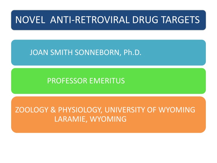 novel anti retroviral drug targets