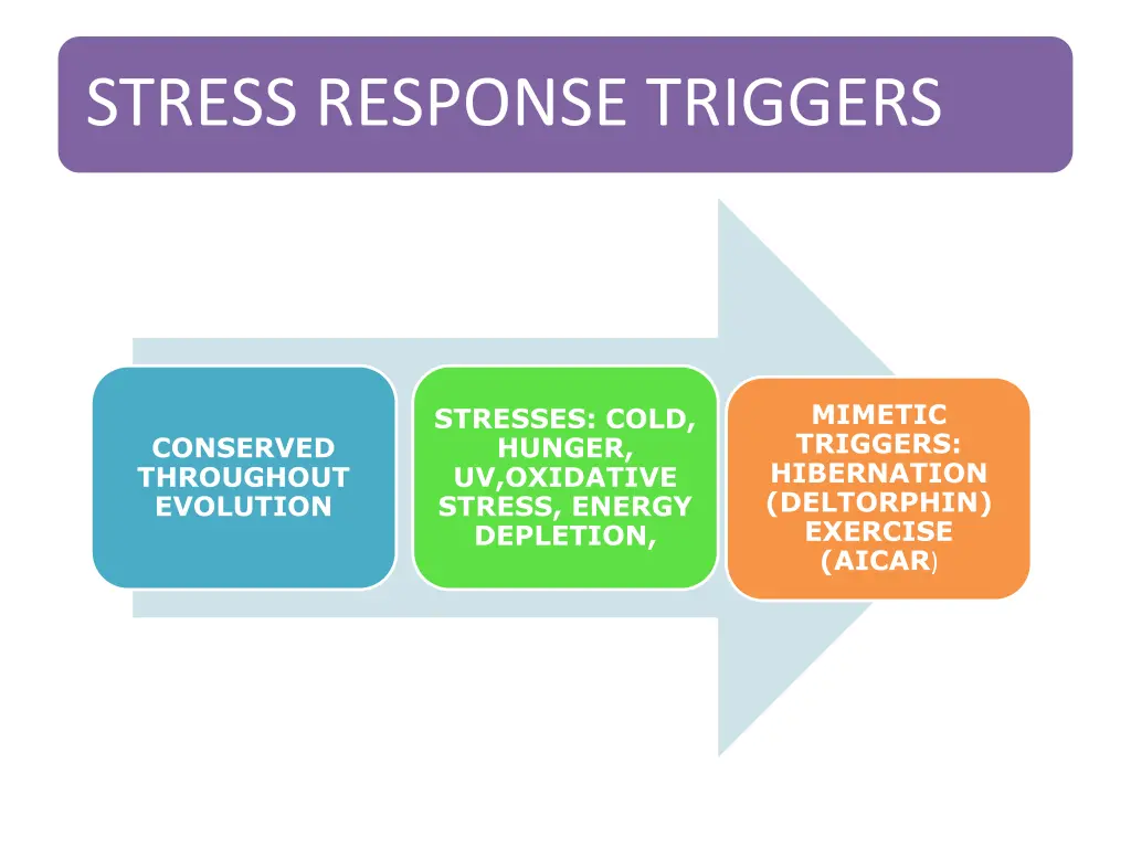stress response triggers