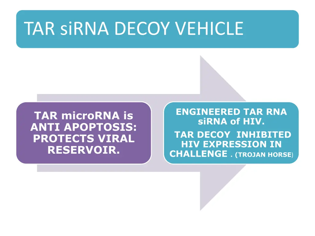 tar sirna decoy vehicle