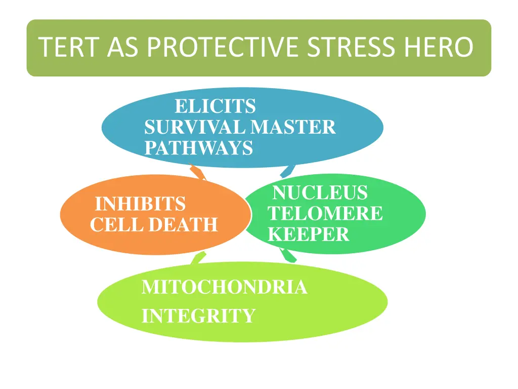 tert as protective stress hero