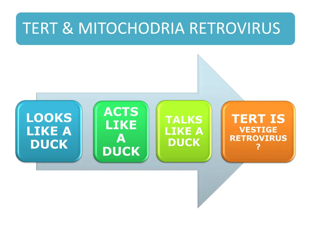 tert mitochodria retrovirus