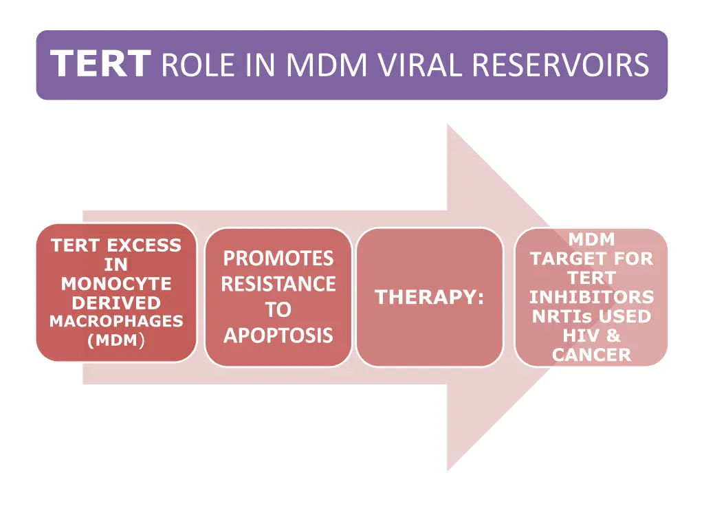 tert role in mdm viral reservoirs