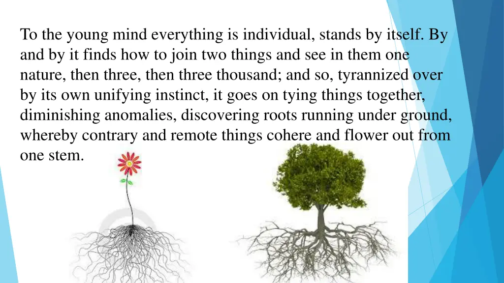 to the young mind everything is individual stands