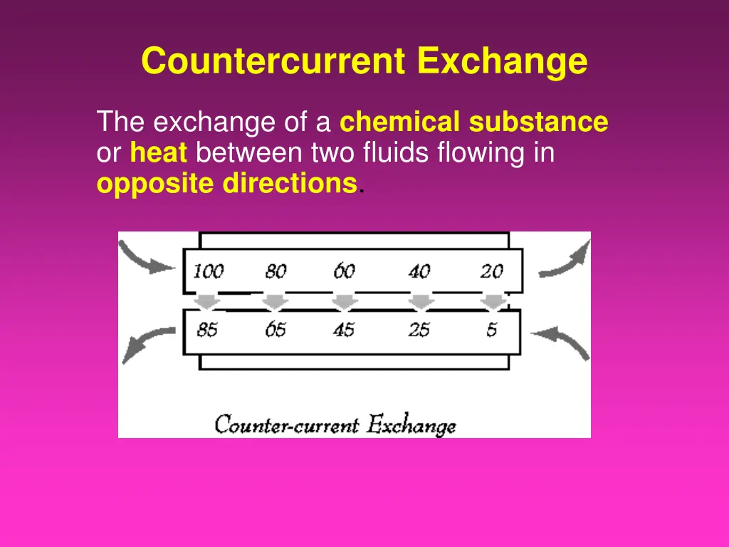 countercurrent exchange
