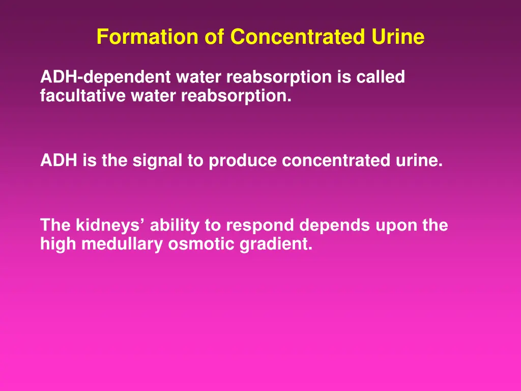 formation of concentrated urine 1
