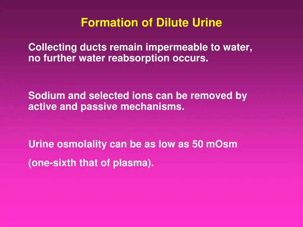 formation of dilute urine 1