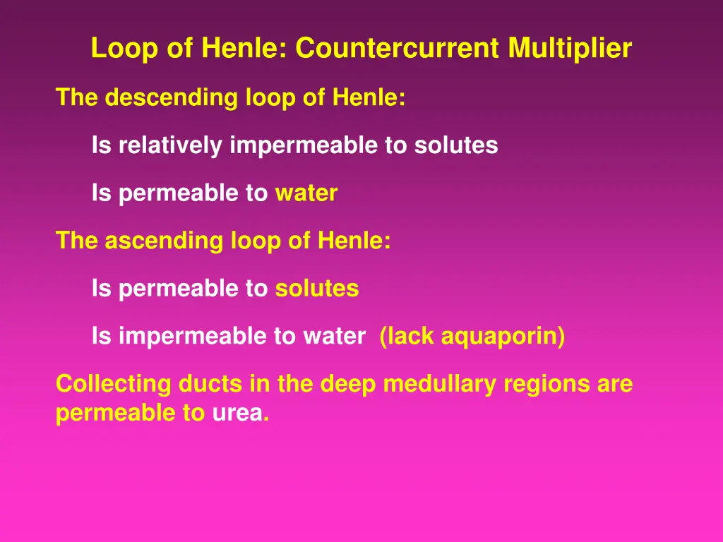 loop of henle countercurrent multiplier