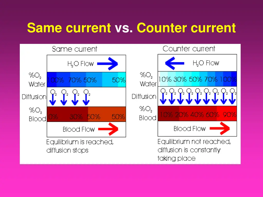 same current vs counter current