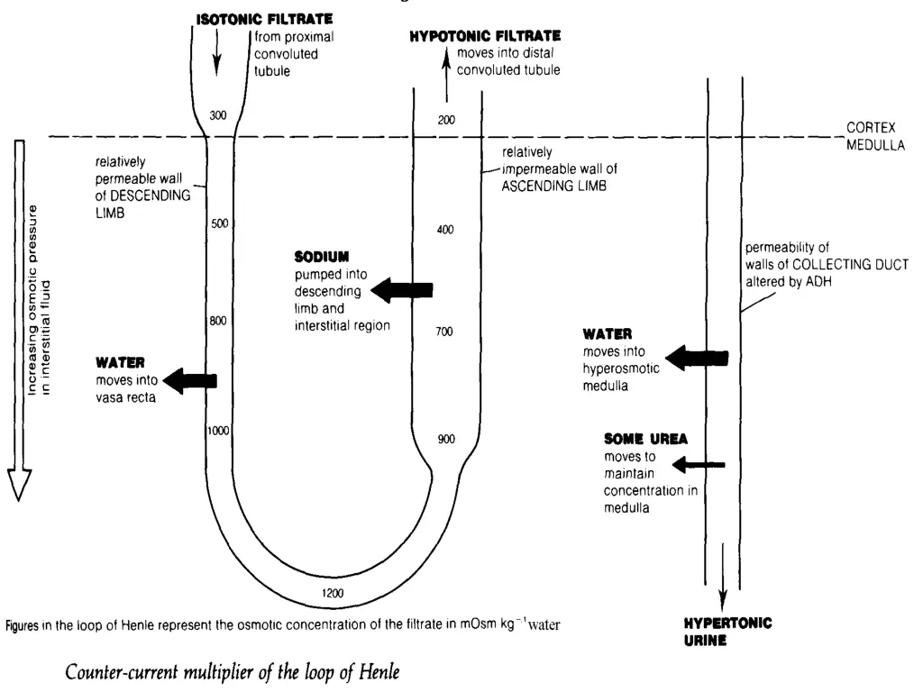 slide8