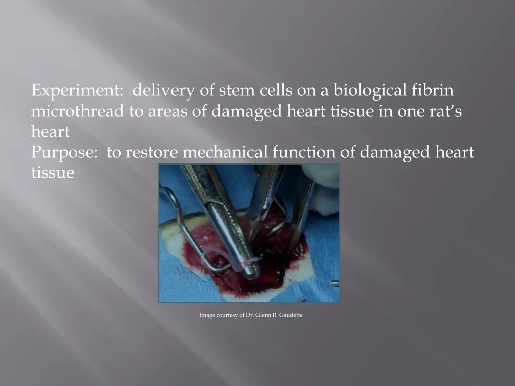 experiment delivery of stem cells on a biological