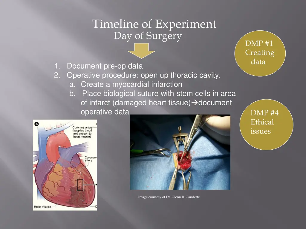 timeline of experiment 1