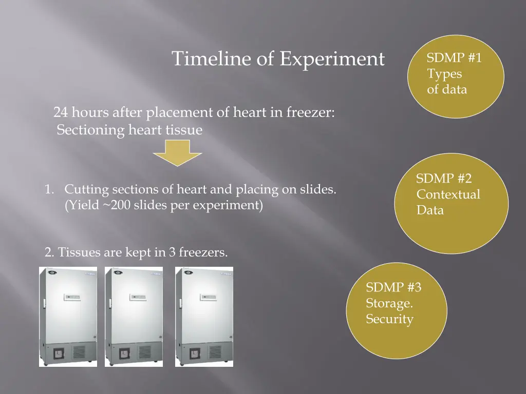 timeline of experiment 3