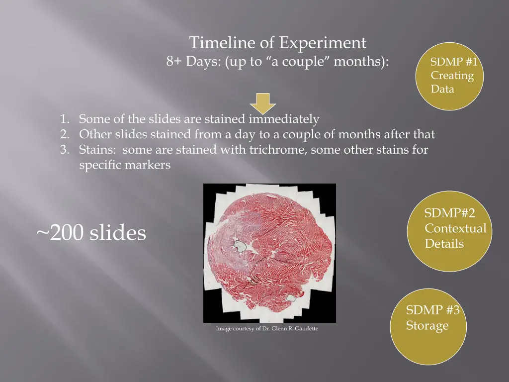 timeline of experiment 8 days up to a couple